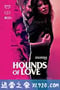 爱的猎犬 Hounds of Love (2016)