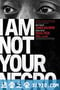 我不是你的黑鬼 I Am Not Your Negro (2017)