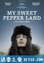 我甜蜜的胡椒地 My Sweet Pepper Land (2013)