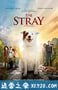 流浪狗 The Stray (2017)