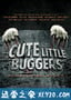 可爱的小东西 Cute Little Buggers (2017)