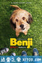 神探狗笨吉 Benji (2018)