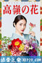 高岭之花 高嶺の花 (2018)