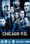 芝加哥警署 第六季 Chicago P.D. Season 6 (2018)