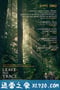 不留痕迹 Leave No Trace (2018)