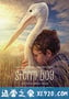 鹈鹕的故事 Storm Boy (2019)