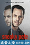 诈欺担保人 第三季 Sneaky Pete Season 3 (2019)