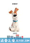 爱宠大机密2 The Secret Life of Pets 2 (2019)