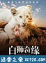 白狮奇缘 Mia et le Lion Blanc (2018)