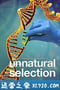 物竞人择 Unnatural Selection (2019)