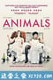 都柏林动物 Animals (2019)