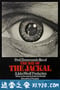 豺狼的日子 The Day of the Jackal (1973)