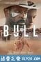 公牛犹斗 Bull (2020)