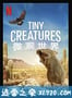 微观世界 Tiny Creatures (2020)