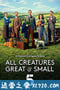 万物生灵 All Creatures Great and Small (2020)