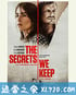 我们保守的秘密 The Secrets We Keep (2020)