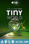 小小世界 Tiny World (2020)