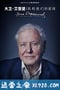 大卫·爱登堡：地球上的一段生命旅程 David Attenborough: A Life on Our Planet (2020)