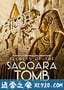 塞加拉陵墓揭秘 Secrets of the Saqqara Tomb (2020)