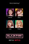 2020年美国7.7分纪录片《BLACKPINK：照亮天空》HD韩语中字