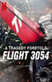 2025年美国纪录片《悲剧预言：巴西3054航班空难》全3集
