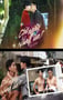 2025年越南电视剧《等待太阳升起》连载至05
