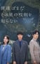2025年日本电视剧《我们仍未知道那颗星的校规》全11集