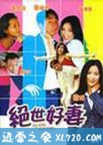 绝世好妻(2006)