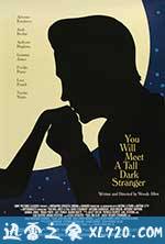 遭遇陌生人 You Will Meet A Tall Dark Stranger (2010)