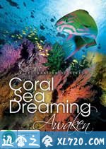 梦幻珊瑚海:唤醒 Coral Sea Dreaming: Awaken (2010)