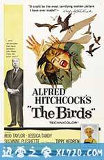 群鸟 The Birds (1963)