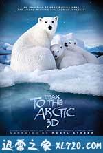 北极 To the Arctic 3D (2012)
