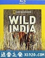 国家地理：狂野印度 Secrets of Wild India (2012)