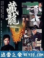 藏龙 (2007)