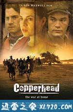 南北之殇 Copperhead (2013)