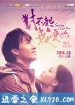 对不起，我爱你 (2013)