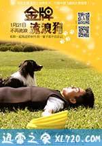 金牌流浪狗 (2013)