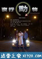 夜行动物 (2014)