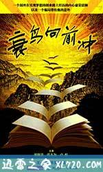 衰鸟向前冲 (2013)