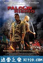猎鹰突起 Falcon Rising (2014)