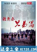 致青春兄弟篇 (2014)