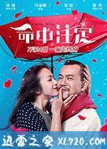 命中注定 (2015)