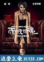 雨夜惊魂 (2015)