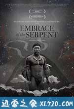 蛇之拥抱 El Abrazo de la Serpiente (2015)