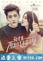 致青春·原来你还在这里 (2016)