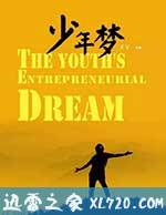 少年梦 (2016)