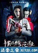 惊魂绣花鞋 (2017)