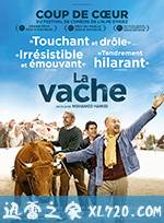 母牛 La vache (2016)
