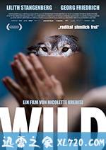 狂野 Wild (2016)