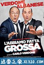 麻烦您啦 L'abbiamo fatta grossa (2016)